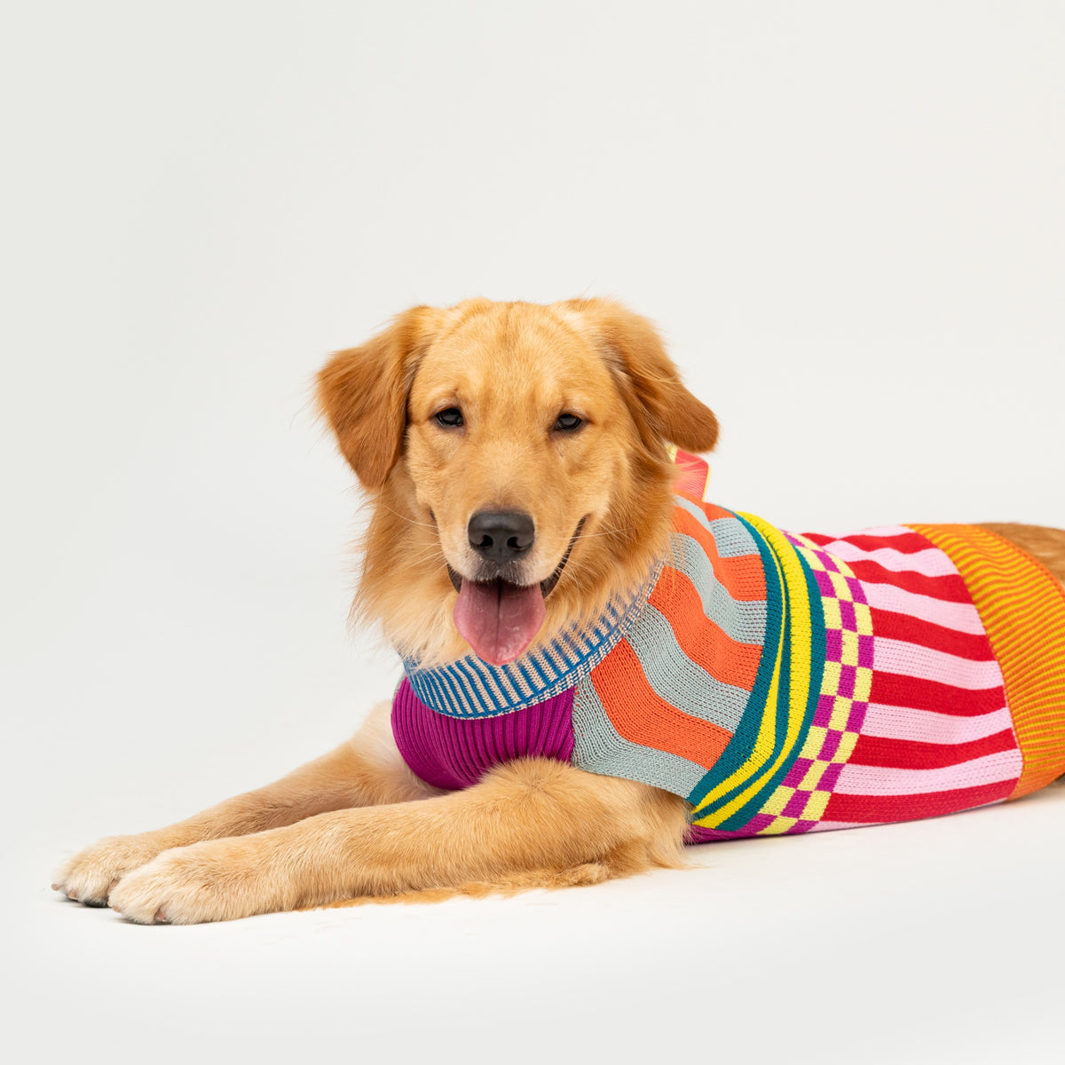 Pattern Patch Dog Sweater