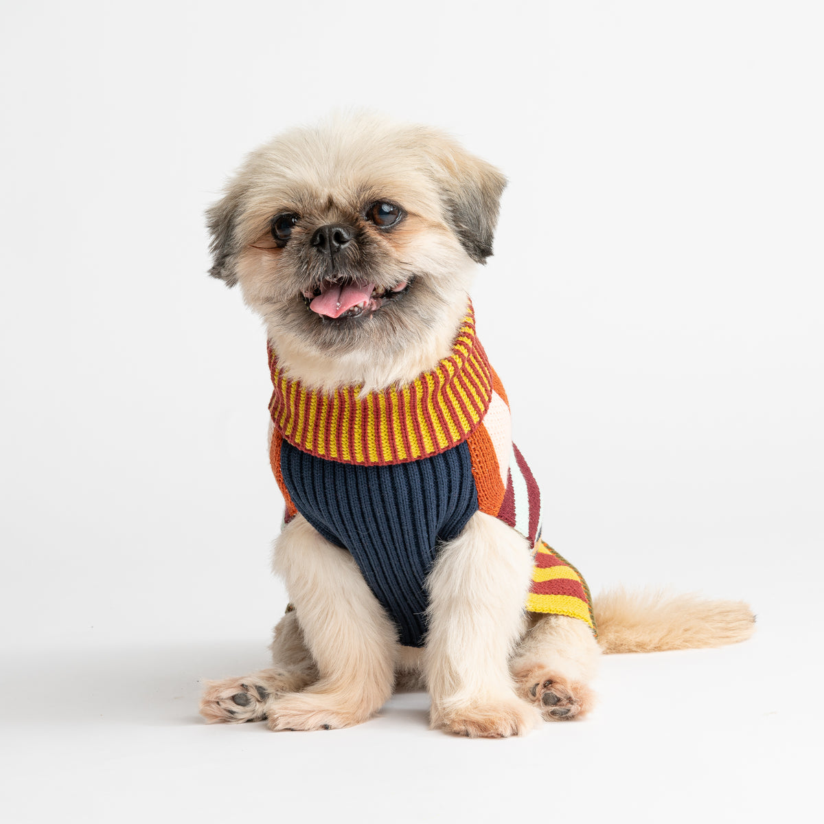 Pattern Patch Dog Sweater